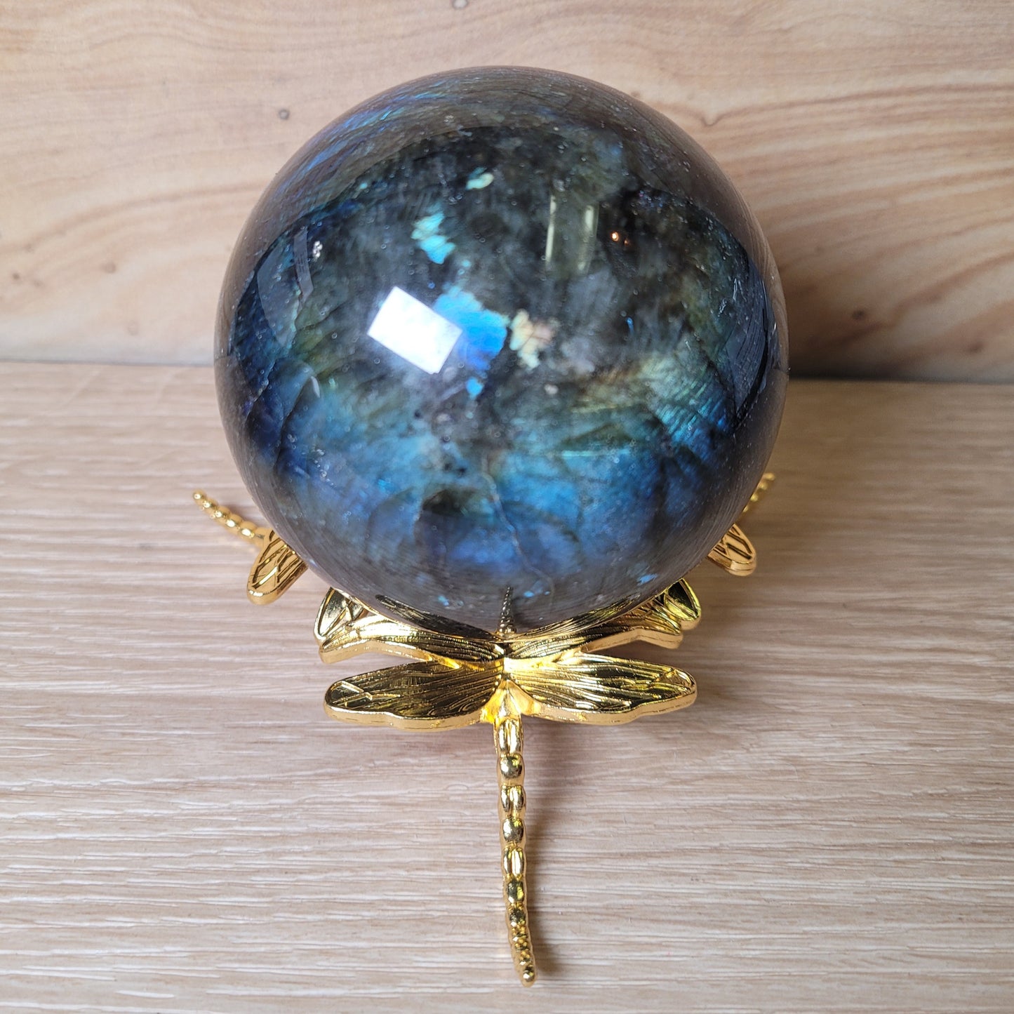 Dragonfly (Large) Sphere Holder