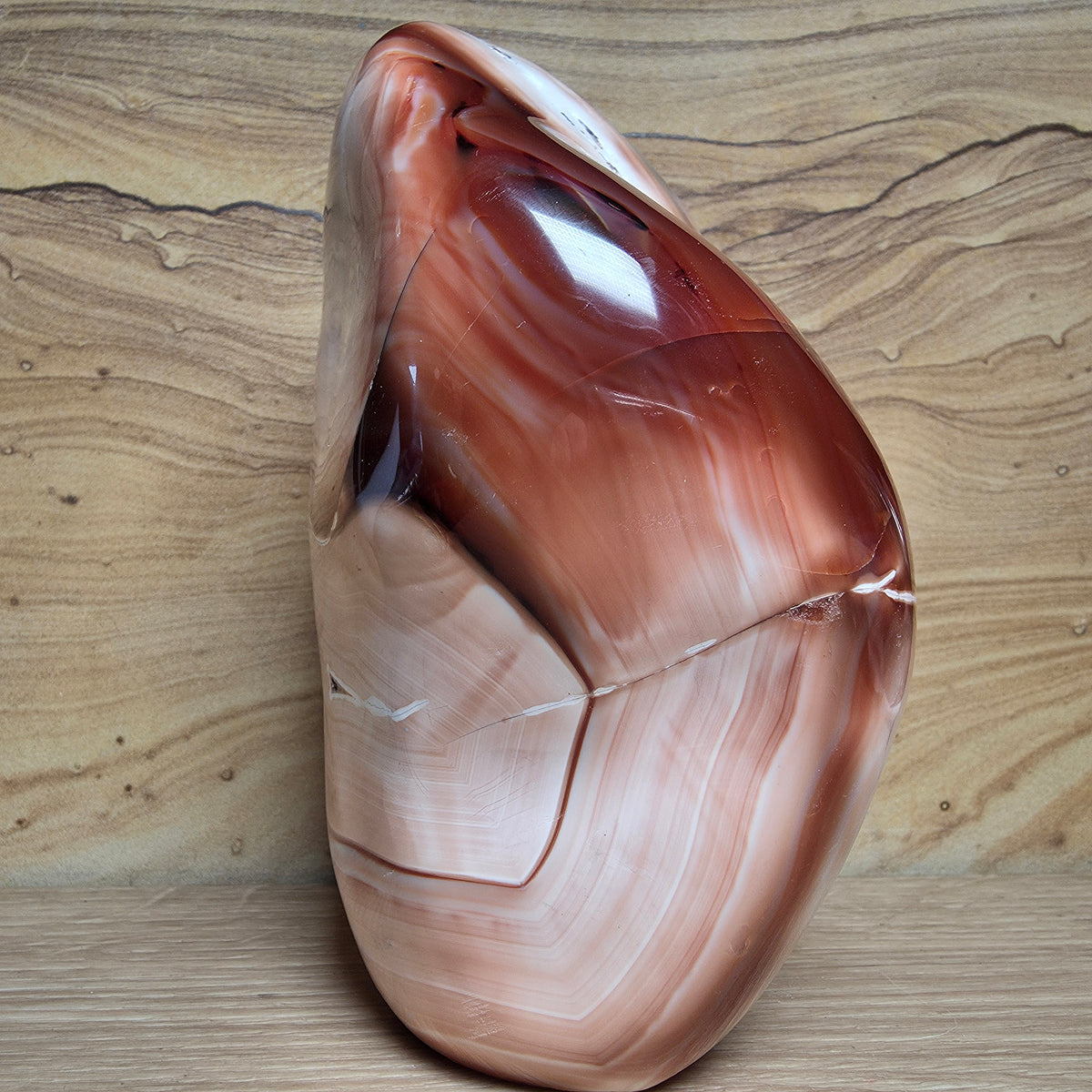 Carnelian Free-form