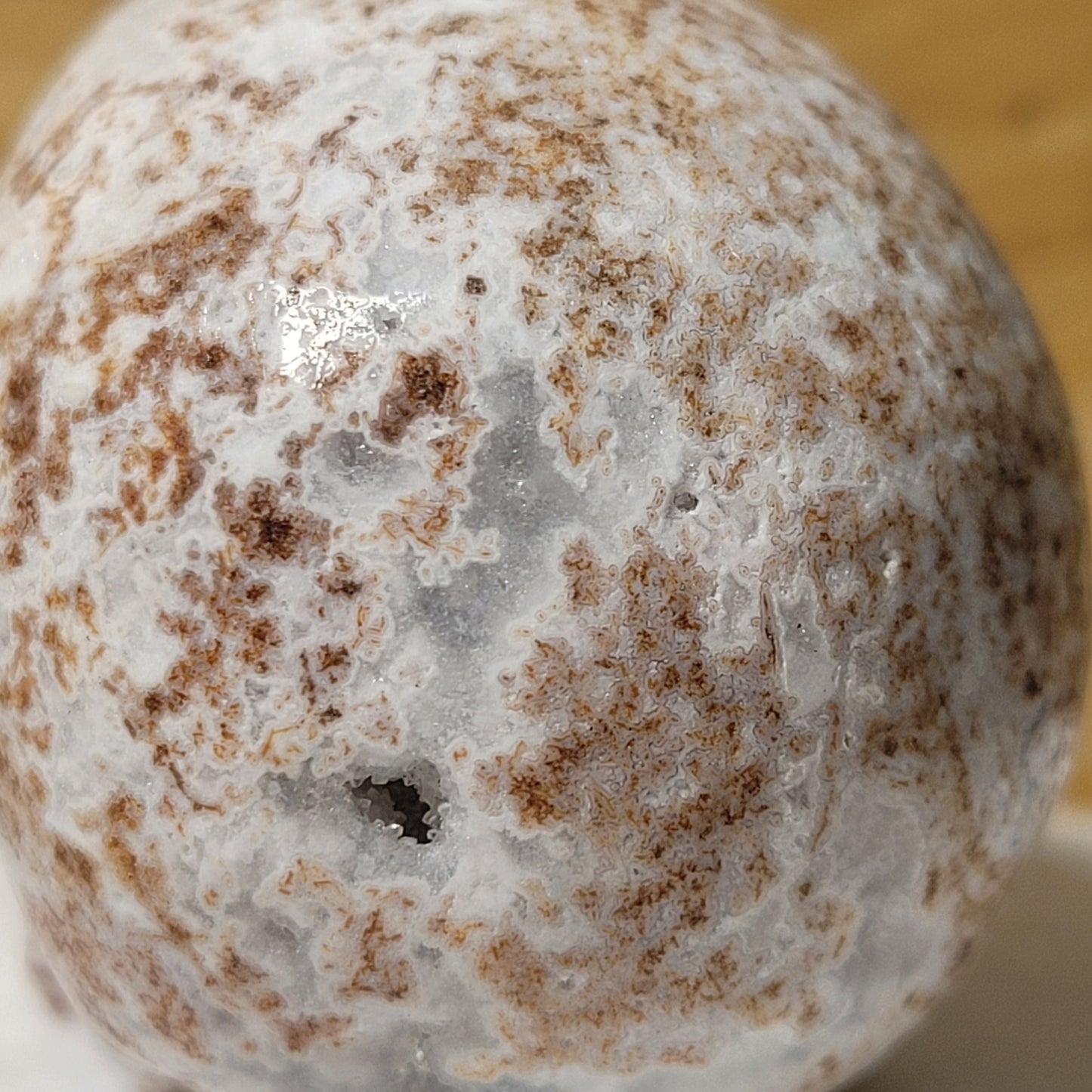 Lace Agate 2" Skull