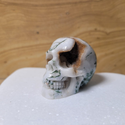 Tree Agate 2" Skull