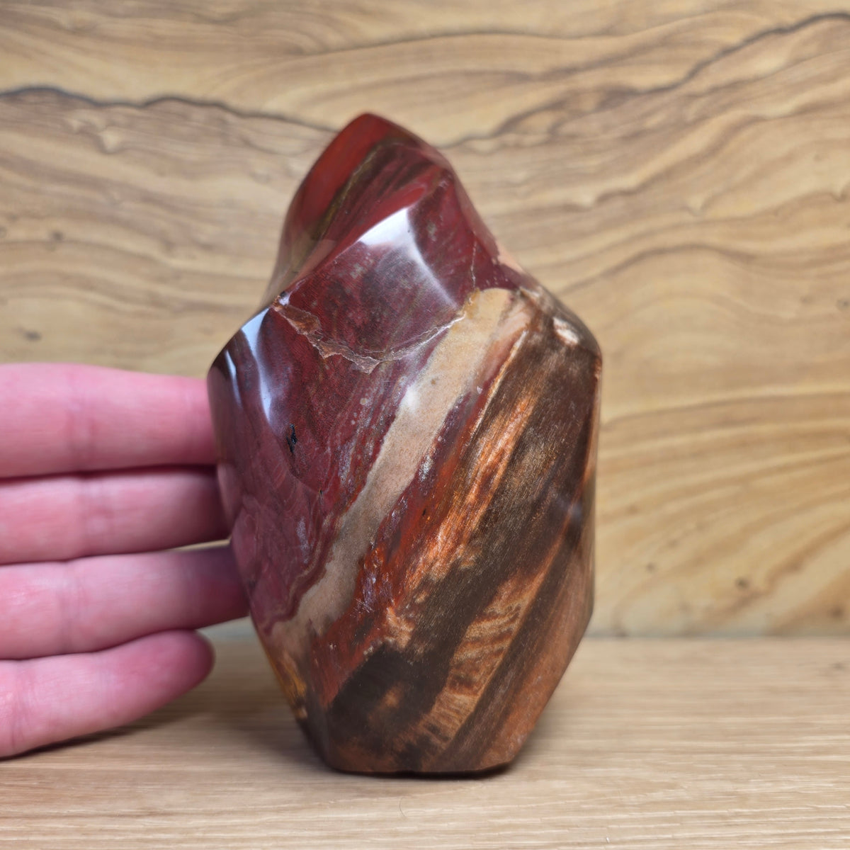 Petrified Wood Flame