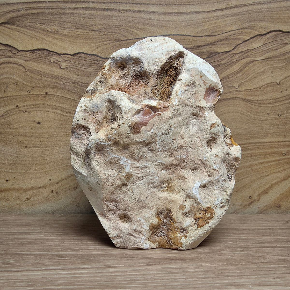 Polychrome Jasper Half Polished Free-form